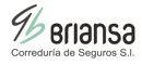 Briansa logo